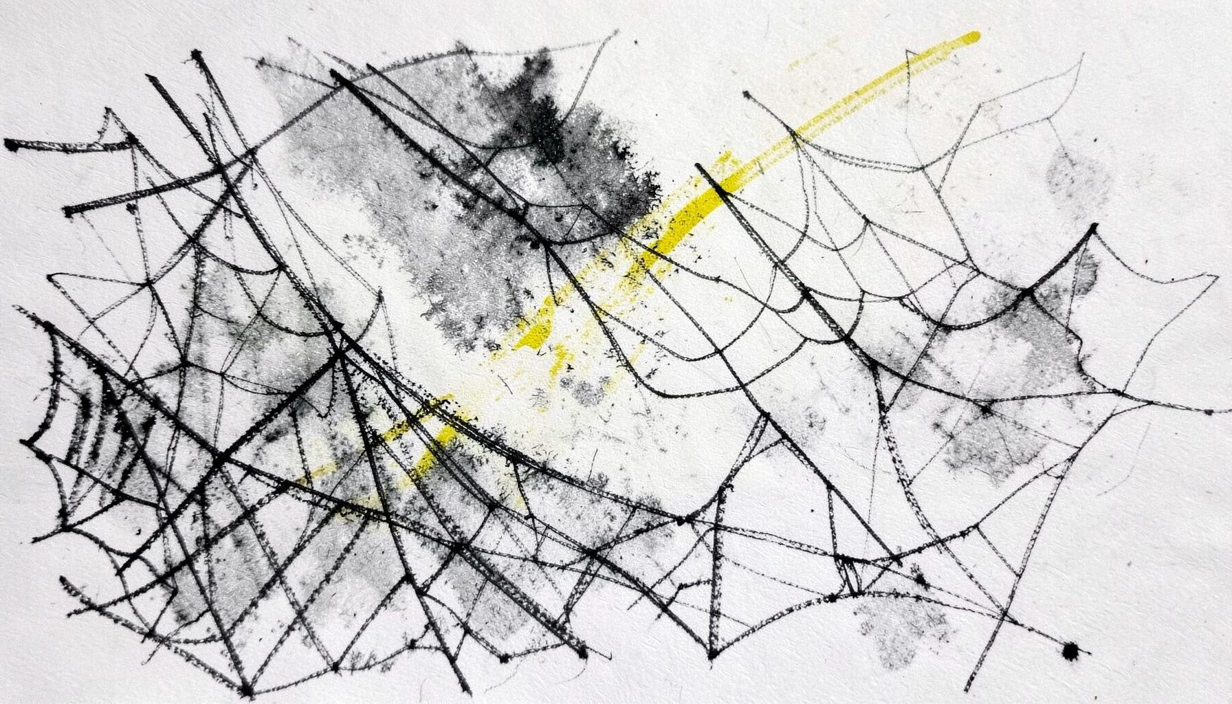 A bold charcoal drawing of early-summer web designs with light airy compositions and delicate line work